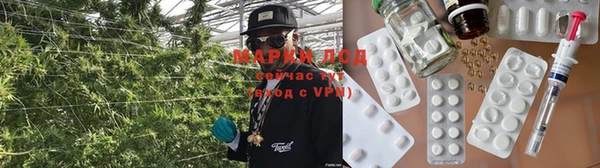 крисы Абаза