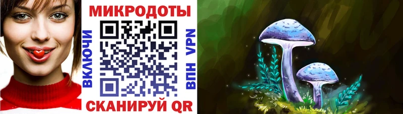 Псилоцибиновые грибы Psilocybe Алатырь